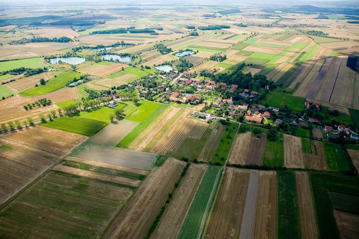 Piekary